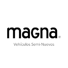 Magna Motors